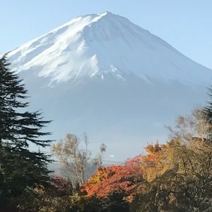 Meet your Posher, Kathleen